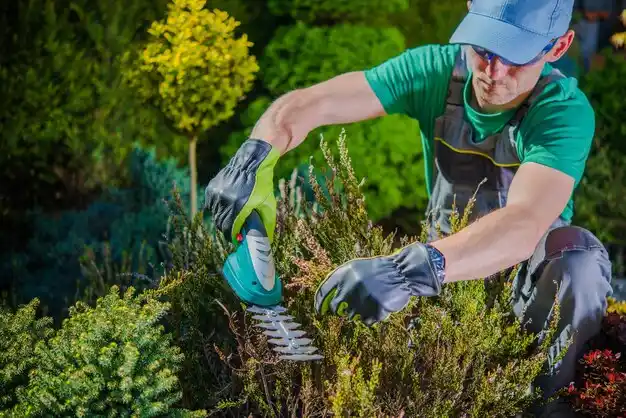 landscaping services Middletown